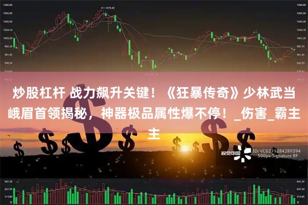 炒股杠杆 战力飙升关键！《狂暴传奇》少林武当峨眉首领揭秘，神器极品属性爆不停！_伤害_霸主