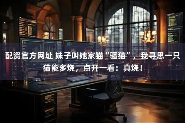 配资官方网址 妹子叫她家猫“骚猫”，我寻思一只猫能多烧，点开一看：真烧！