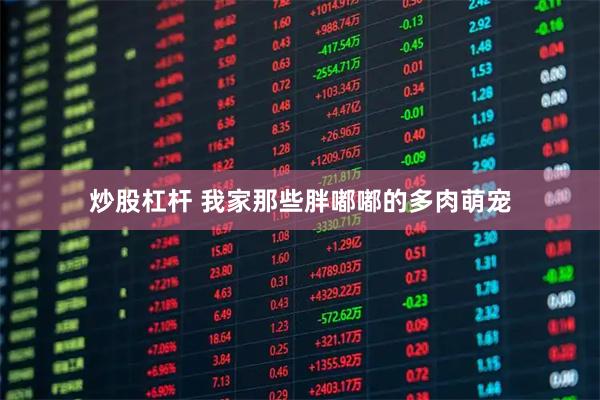 炒股杠杆 我家那些胖嘟嘟的多肉萌宠